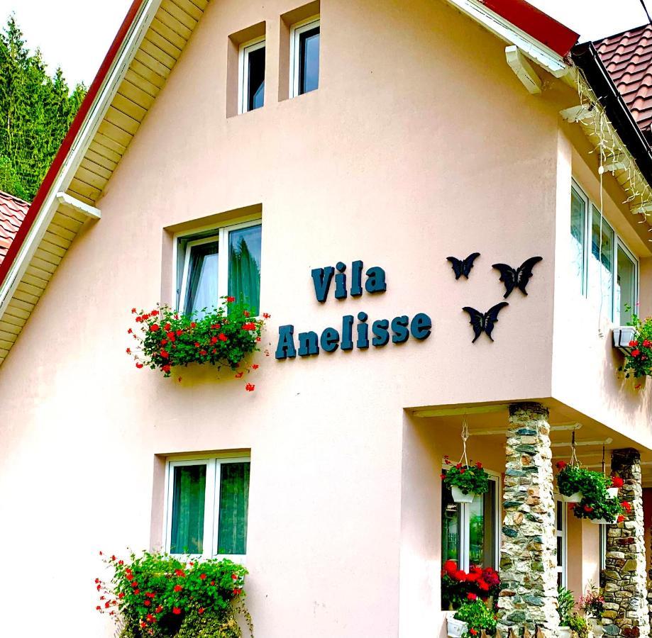 Anelisse Inn Moeciu De Sus Exterior foto