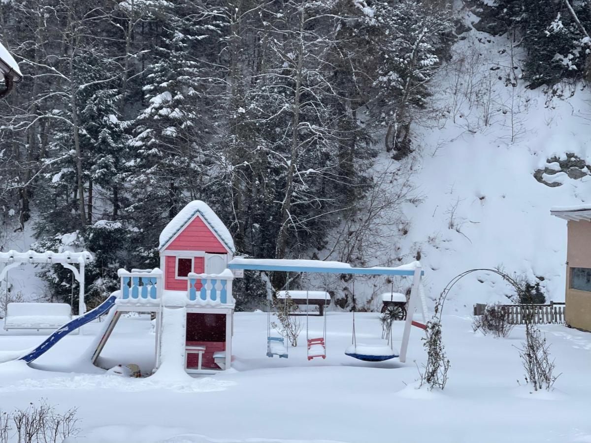 Anelisse Inn Moeciu De Sus Exterior foto